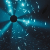 Halo, Laurel Midnight Zone