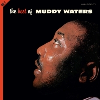 Waters, Muddy Best Of (lp+cd)