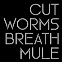 Cut Worms Breath Mule