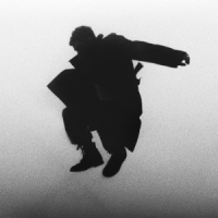 Del Water Gap Chasing The Chimera -coloured-