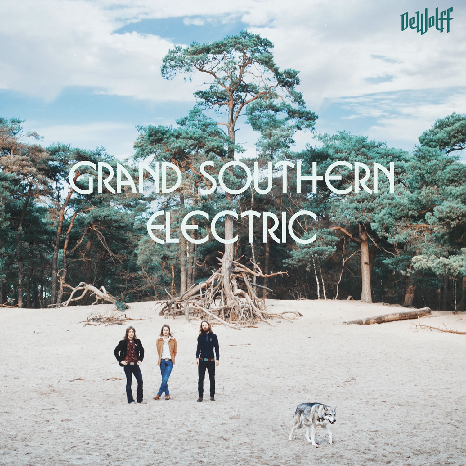 Dewolff Grand Southern Electric