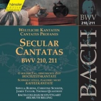 Bach, J.s. Secular Cantatas Bwv210-