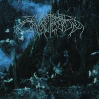 Wolves In The Throne Room Live At Roadburn 2008