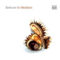 Beethoven, Ludwig Van Beethoven For Meditation