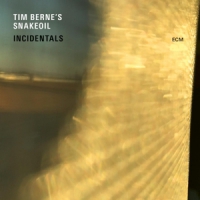 Berne, Tim -snakeoil- Incidentals