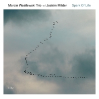 Wasilewski, Marcin -trio- Spark Of Life