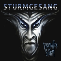 Sturmgesang Erschaffen Im Sturm