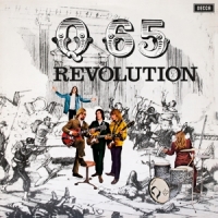 Q 65 Revolution -colored-