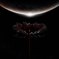 Muse The Wow! Signal