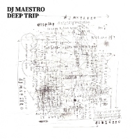 Dj Maestro Deep Trip