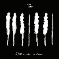 Why Tony With A View To Birds