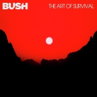 Bush Art Of Survival