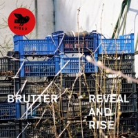 Brutter Reveal And Rise