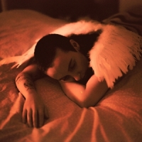 Sea Girls Midnight Butterflies