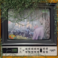 Cook, Elizabeth Great Television