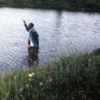 Wild Up Julius Eastman, Vol. 5: Gay Guerrilla