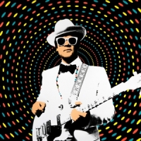 Blue Flamingo Metropolyphonica