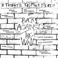 Pink Floyd Back Against The Wall