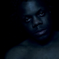 Blue Daisy Darker Than Blue