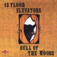 13th Floor Elevators Bull Of The Woods