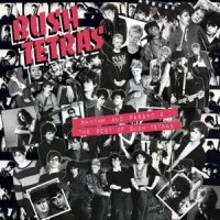 Bush Tetras Rhythm And Paranoia  The Best Of...