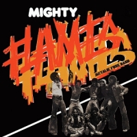 Mighty Flames Metalik Funk Band