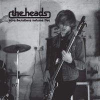 Heads, The Reverberations Vol. 5 (mixed)