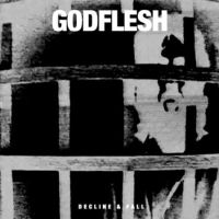 Godflesh Decline & Fall