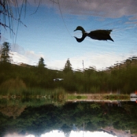 Tomu Dj Antagonist -coloured-