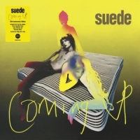 Suede Coming Up -transparant-