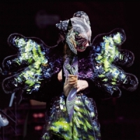 Bjork Vulnicura Live