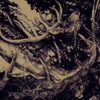 Third Eye Foundation The Dark