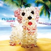 Fluke Puppy