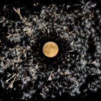 O Neill, Lisa All Of This Is Chance