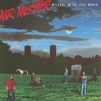 Mr. Mister Welcome To The Real World