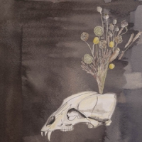 Gunn, Steve & Black Twig Pickers Seasonal