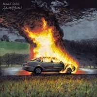 Adult Dude Adult Moods