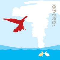 Stevens, Sufjan Enjoy Your Rabbit