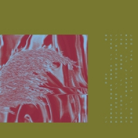 Pariah Here From Where We Are