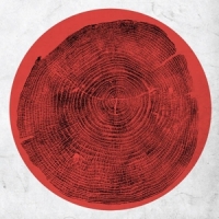 Montgomery, Roy Q  Transient Global Amnesia