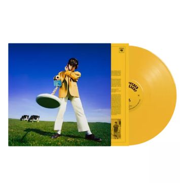 Mckenna, Declan What Happened To The Beach? -coloured-