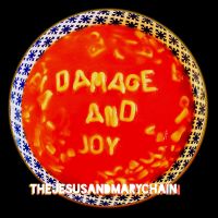 Jesus & Mary Chain Damage And Joy