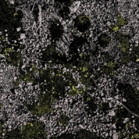 King Gizzard & The Lizard Wizard Infest The Rats' Nest -coloured-