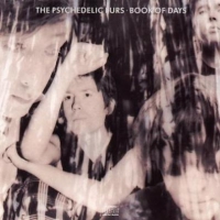 Psychedelic Furs, The Book Of Days