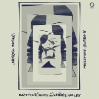 White, Matthew E. & Lonnie Holley Broken Mirror  A Selfie Reflection