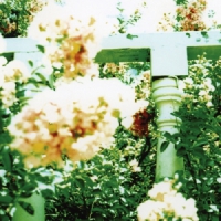 Unwed Sailor Little Wars