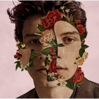 Mendes, Shawn Shawn Mendes (17 Tracks)
