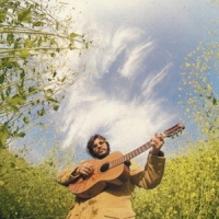 John Vincent Iii Songs For The Canyon