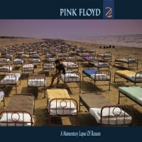 Pink Floyd A Momentary Lapse Of Reason (2025)