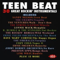 Various Teen Beat 30 Rockin Instr